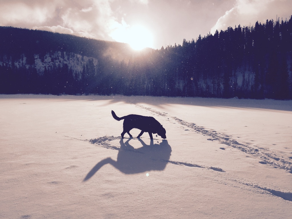 Mountain hike
